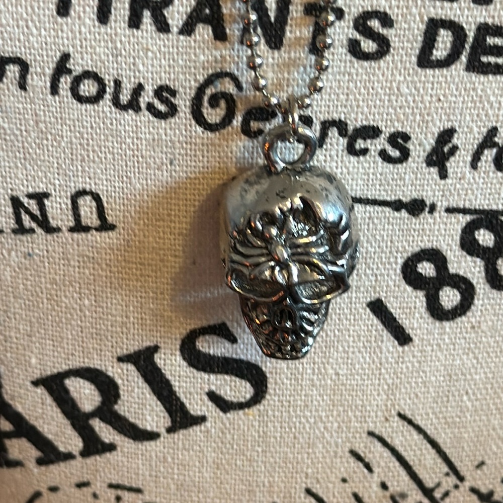 Skull necklace with chain